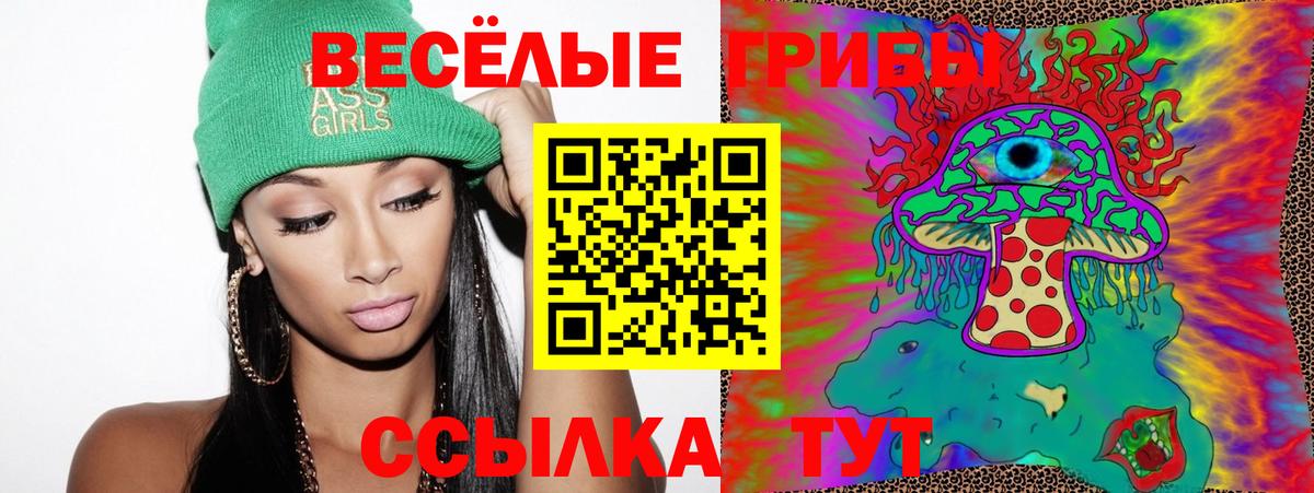 Псилоцибиновые грибы прущие грибы Юрга