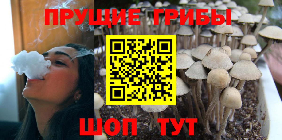 Псилоцибиновые грибы Magic Shrooms  Вход с VPN  закладка  Юрга 